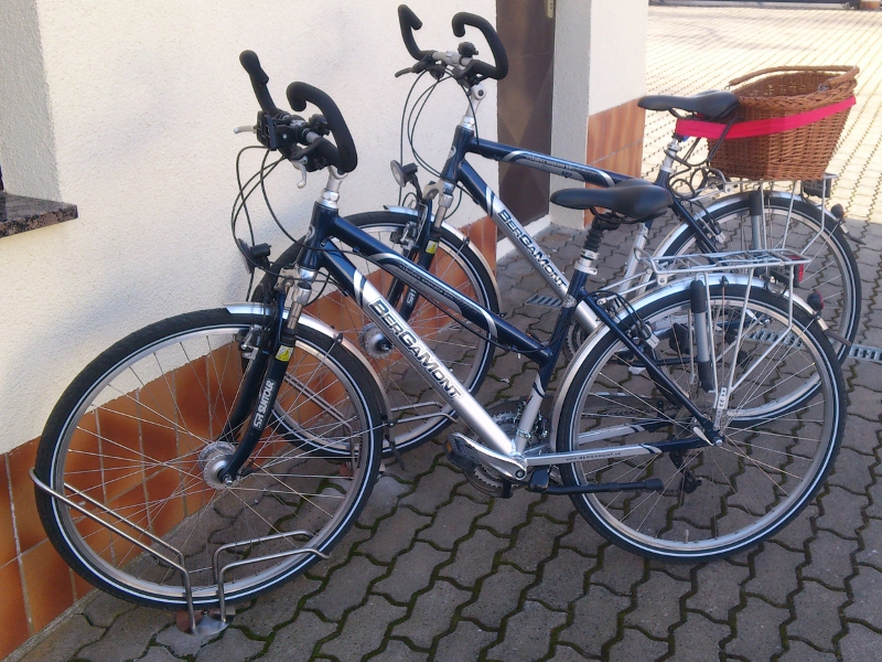 mifa cargo lastenfahrrad Lastenrad Ca Go FS 200 – Gf washed my googles 2026W12 Farbe:BEERE/Gold